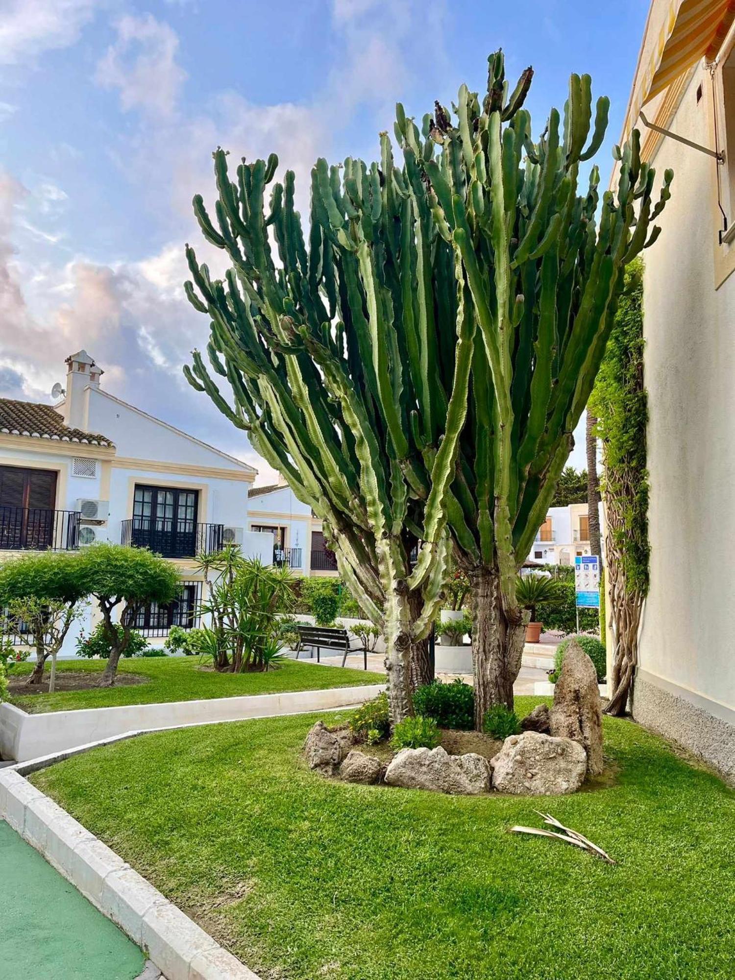 Apartamento Vera Coast 123 Playas de Vera Exterior photo
