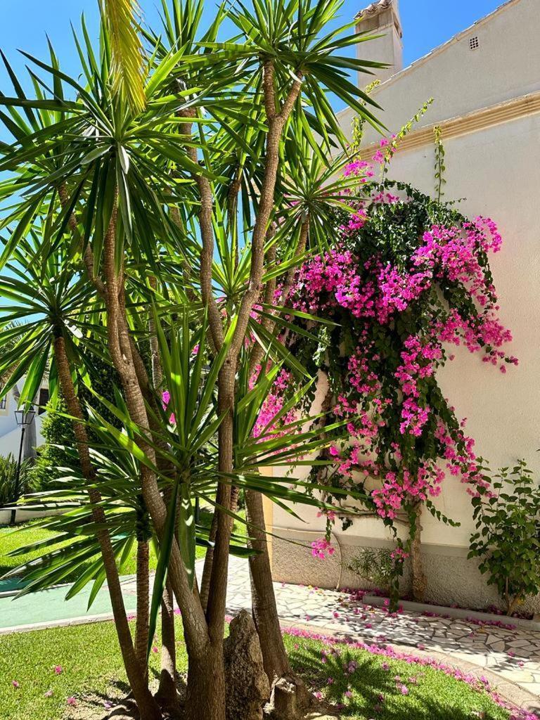 Apartamento Vera Coast 123 Playas de Vera Exterior photo